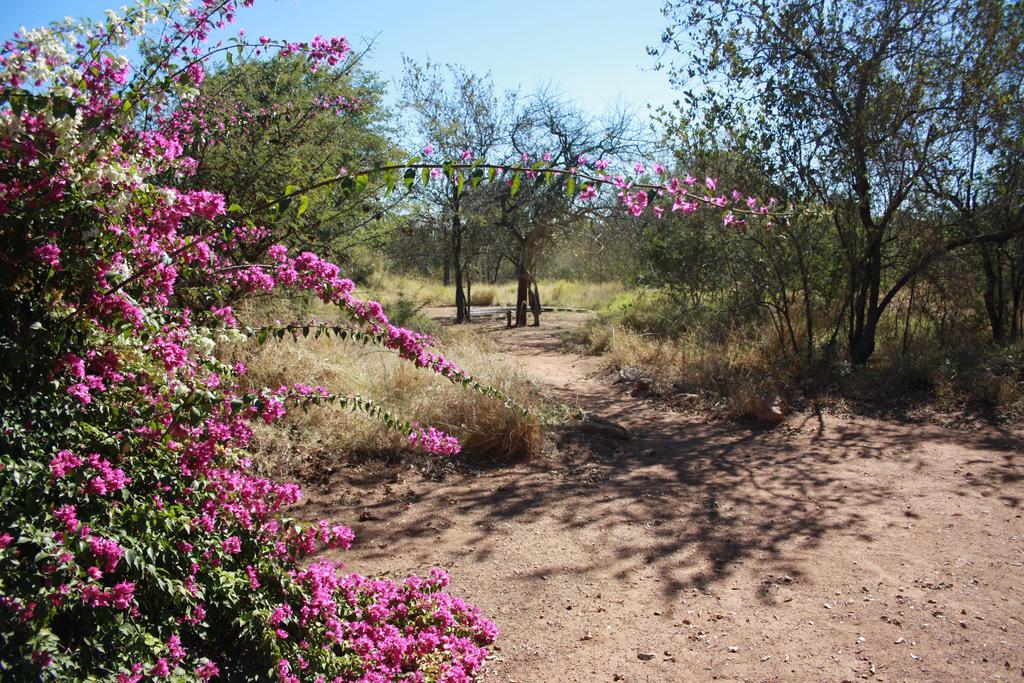 Normann Safari Bush Lodge Phalaborwa Luaran gambar
